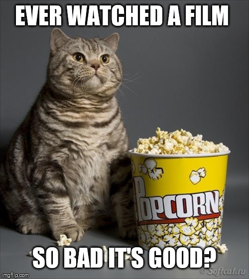 Cat eating popcorn | EVER WATCHED A FILM; SO BAD IT'S GOOD? | image tagged in cat eating popcorn | made w/ Imgflip meme maker