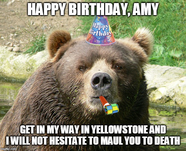 Happy Birthday Bear | HAPPY BIRTHDAY, AMY; GET IN MY WAY IN YELLOWSTONE AND I WILL NOT HESITATE TO MAUL YOU TO DEATH | image tagged in happy birthday bear | made w/ Imgflip meme maker