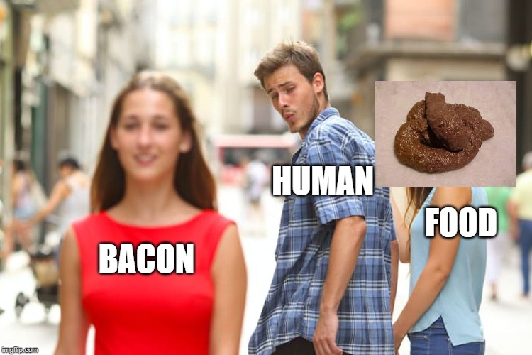 Distracted Boyfriend Meme | BACON HUMAN FOOD | image tagged in memes,distracted boyfriend | made w/ Imgflip meme maker
