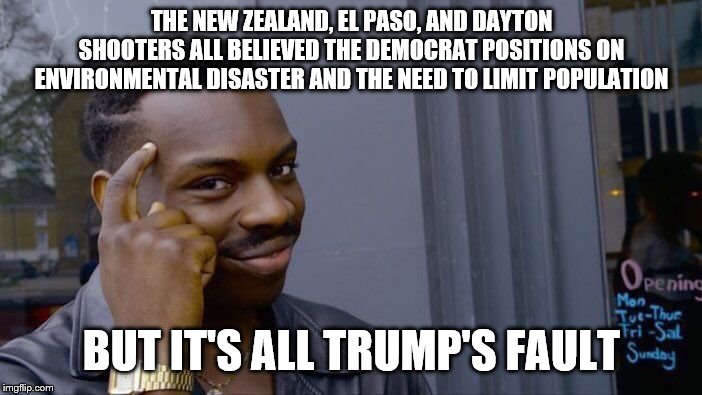 Roll Safe Think About It | THE NEW ZEALAND, EL PASO, AND DAYTON SHOOTERS ALL BELIEVED THE DEMOCRAT POSITIONS ON ENVIRONMENTAL DISASTER AND THE NEED TO LIMIT POPULATION; BUT IT'S ALL TRUMP'S FAULT | image tagged in memes,roll safe think about it | made w/ Imgflip meme maker