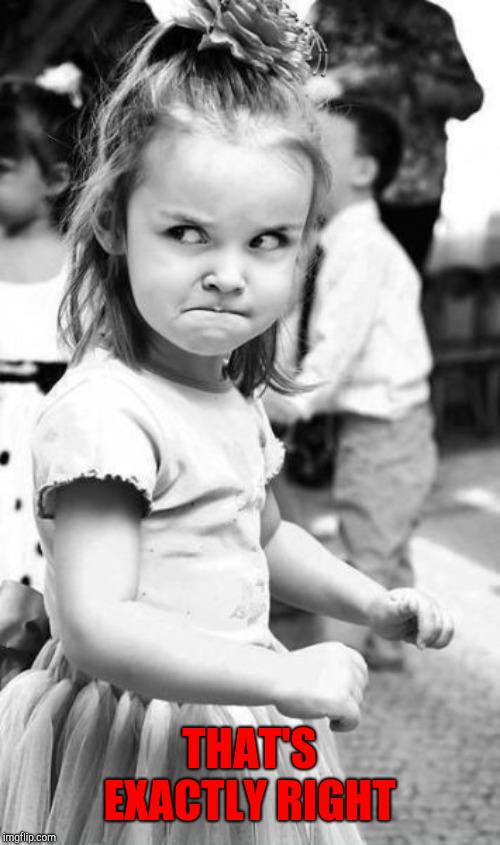 Angry Toddler Meme | THAT'S EXACTLY RIGHT | image tagged in memes,angry toddler | made w/ Imgflip meme maker