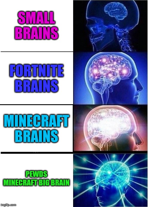 Expanding Brain | SMALL BRAINS; FORTNITE BRAINS; MINECRAFT BRAINS; PEWDS MINECRAFT BIG BRAIN | image tagged in memes,expanding brain | made w/ Imgflip meme maker