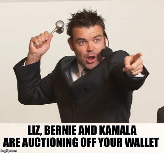 auctioneer | LIZ, BERNIE AND KAMALA ARE AUCTIONING OFF YOUR WALLET | image tagged in auctioneer | made w/ Imgflip meme maker