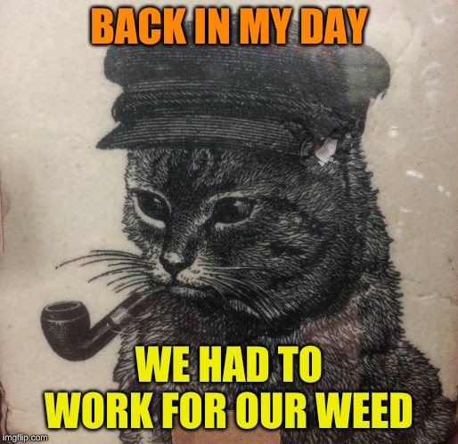 BACK IN MY DAY WE HAD TO WORK FOR OUR WEED | made w/ Imgflip meme maker