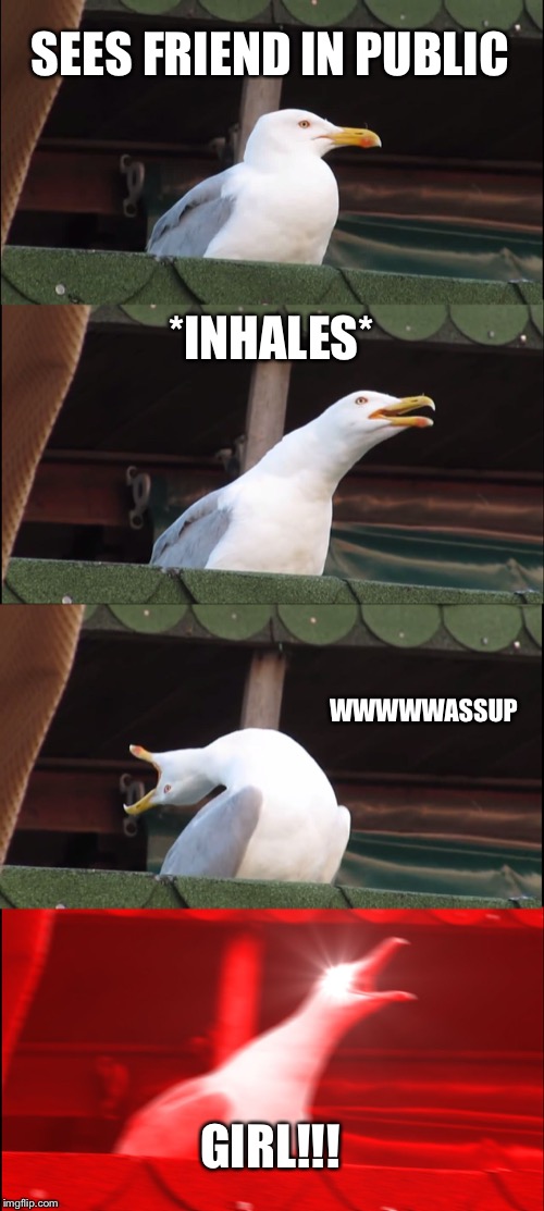 Inhaling Seagull | SEES FRIEND IN PUBLIC; *INHALES*; WWWWWASSUP; GIRL!!! | image tagged in memes,inhaling seagull | made w/ Imgflip meme maker
