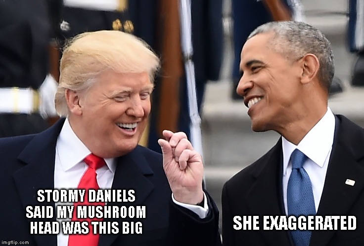 Trump is a Big Prick with a Little Dick | STORMY DANIELS SAID MY MUSHROOM HEAD WAS THIS BIG; SHE EXAGGERATED | image tagged in impeach trump,misogyny,sexual assault,alleged rapist,trump is an asshole | made w/ Imgflip meme maker