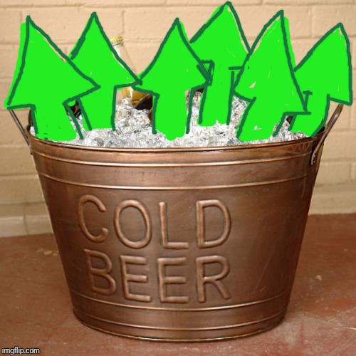 Ice Bucket of beer challenge | image tagged in ice bucket of beer challenge | made w/ Imgflip meme maker