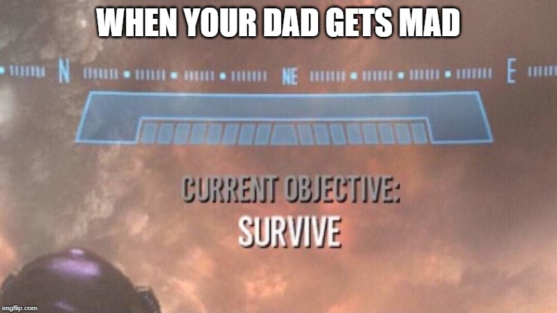 Current Objective: Survive | WHEN YOUR DAD GETS MAD | image tagged in current objective survive | made w/ Imgflip meme maker