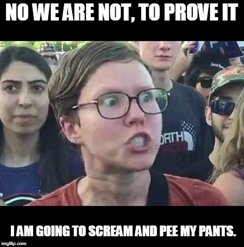 Triggered Liberal | NO WE ARE NOT, TO PROVE IT I AM GOING TO SCREAM AND PEE MY PANTS. | image tagged in triggered liberal | made w/ Imgflip meme maker