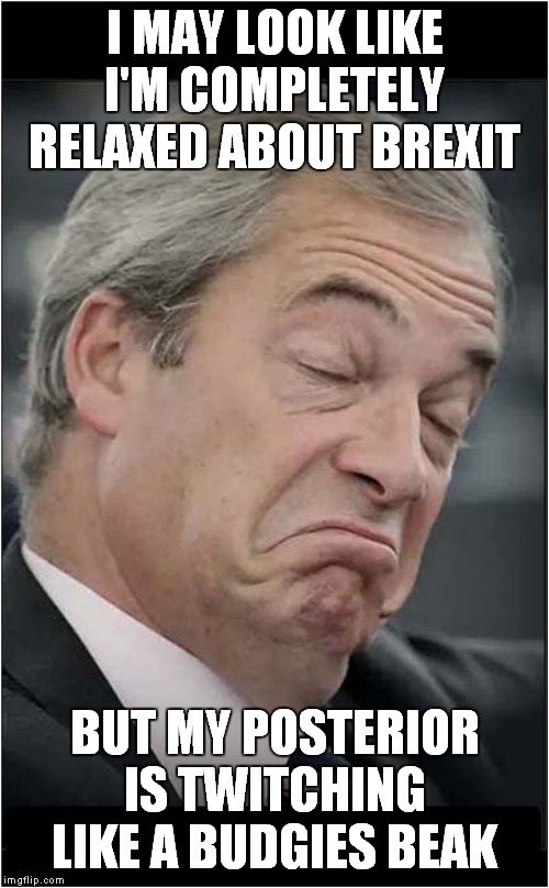 Nigel Farage Looking Calm | I MAY LOOK LIKE I'M COMPLETELY RELAXED ABOUT BREXIT; BUT MY POSTERIOR IS TWITCHING LIKE A BUDGIES BEAK | image tagged in politics,brexit | made w/ Imgflip meme maker