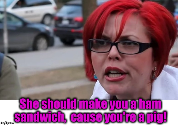  triggered | She should make you a ham sandwich,  cause you're a pig! | image tagged in triggered | made w/ Imgflip meme maker