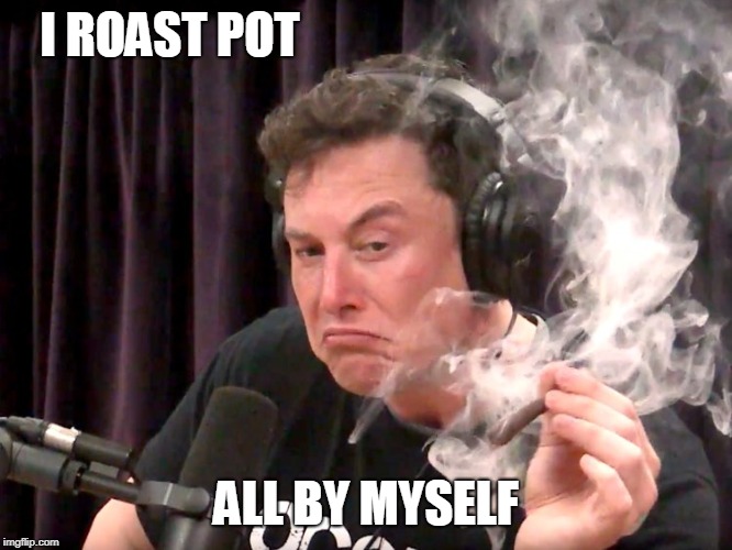 Elon Musk Weed | I ROAST POT ALL BY MYSELF | image tagged in elon musk weed | made w/ Imgflip meme maker