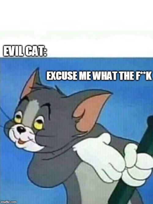 tom excuse me update | EVIL CAT: | image tagged in tom excuse me update | made w/ Imgflip meme maker