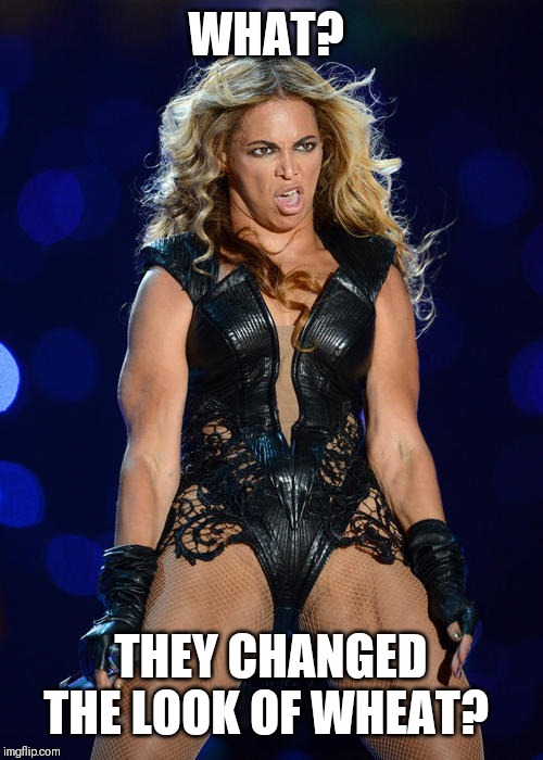 Ermahgerd Beyonce | WHAT? THEY CHANGED THE LOOK OF WHEAT? | image tagged in memes,ermahgerd beyonce | made w/ Imgflip meme maker