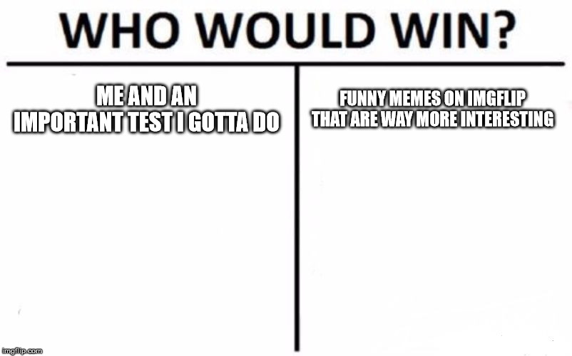 Who Would Win? Meme |  ME AND AN IMPORTANT TEST I GOTTA DO; FUNNY MEMES ON IMGFLIP THAT ARE WAY MORE INTERESTING | image tagged in memes,who would win | made w/ Imgflip meme maker