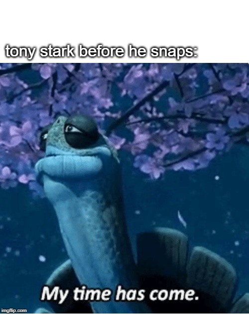 My Time Has Come | tony stark before he snaps: | image tagged in my time has come | made w/ Imgflip meme maker