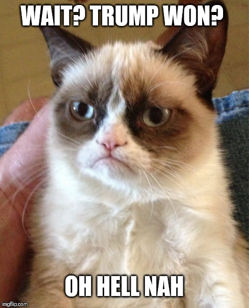 Grumpy Cat | WAIT? TRUMP WON? OH HELL NAH | image tagged in memes,grumpy cat | made w/ Imgflip meme maker
