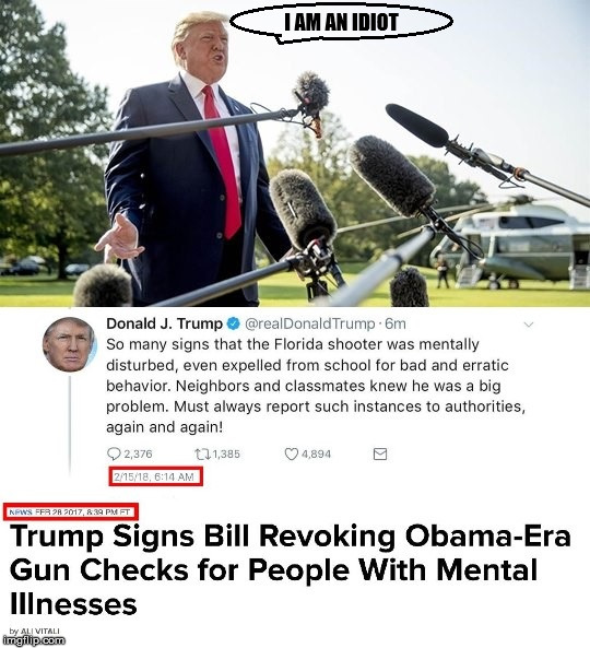 Incompetent. | I AM AN IDIOT | image tagged in donald trump,guns,mental illness,idiot,mass murders,laws | made w/ Imgflip meme maker