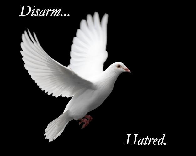 DOVE PIGEON LOVE PEACE HAPPINESS | Disarm... Hatred. | image tagged in dove pigeon love peace happiness | made w/ Imgflip meme maker