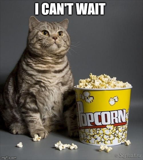 Cat eating popcorn | I CAN'T WAIT | image tagged in cat eating popcorn | made w/ Imgflip meme maker