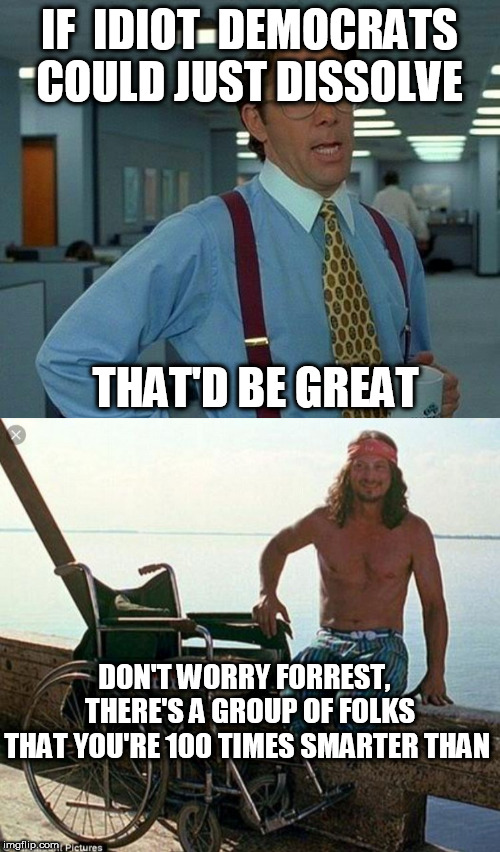 IF  IDIOT  DEMOCRATS COULD JUST DISSOLVE THAT'D BE GREAT DON'T WORRY FORREST,  




THERE'S A GROUP OF FOLKS



THAT YOU'RE 100 TIMES SMARTE | image tagged in memes,that would be great | made w/ Imgflip meme maker