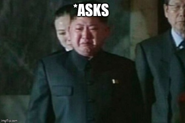 Kim Jong Un Sad Meme | *ASKS | image tagged in memes,kim jong un sad | made w/ Imgflip meme maker
