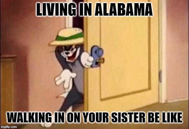 Tom and Jerry | LIVING IN ALABAMA; WALKING IN ON YOUR SISTER BE LIKE | image tagged in tom and jerry | made w/ Imgflip meme maker