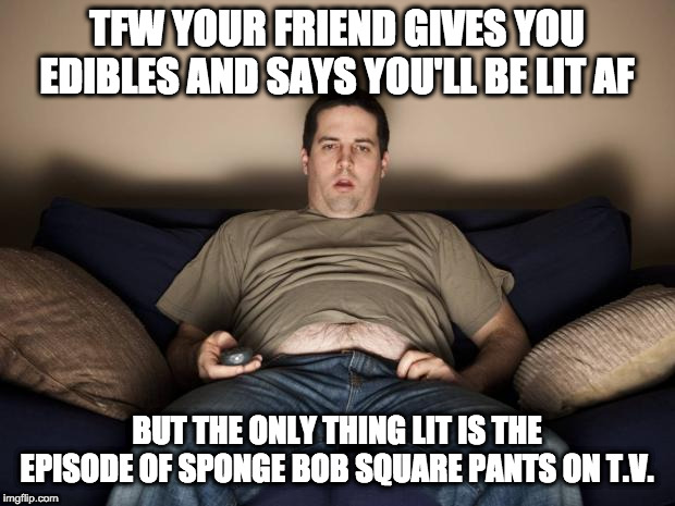 Incredible Edibles | TFW YOUR FRIEND GIVES YOU EDIBLES AND SAYS YOU'LL BE LIT AF; BUT THE ONLY THING LIT IS THE EPISODE OF SPONGE BOB SQUARE PANTS ON T.V. | image tagged in lazy fat guy on the couch,weed,marijuana,spongebob | made w/ Imgflip meme maker