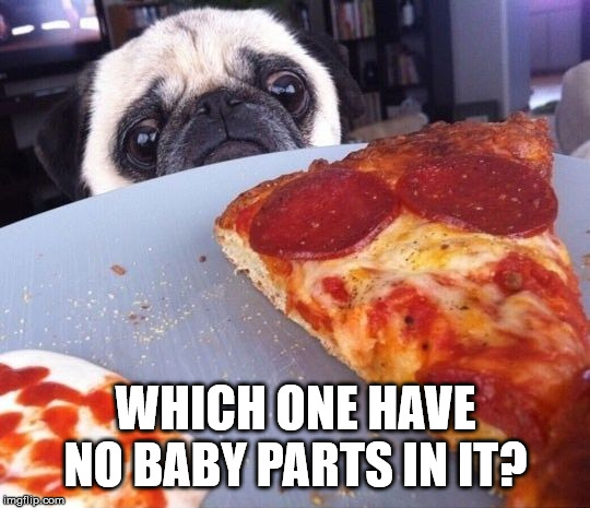 Pizza Pug | WHICH ONE HAVE NO BABY PARTS IN IT? | image tagged in pizza pug | made w/ Imgflip meme maker