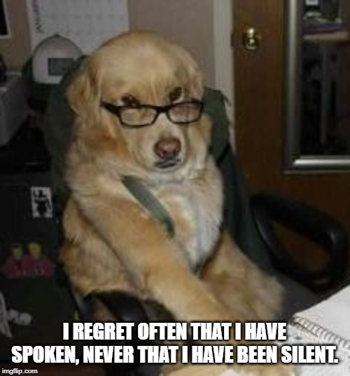 smart dog | I REGRET OFTEN THAT I HAVE SPOKEN, NEVER THAT I HAVE BEEN SILENT. | image tagged in smart dog | made w/ Imgflip meme maker