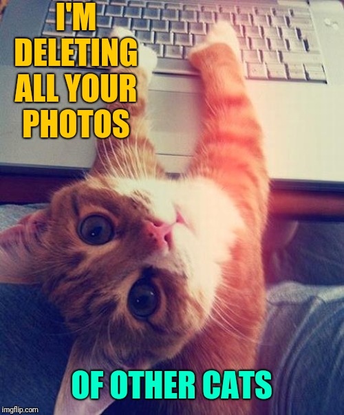 Computer Cat | I'M DELETING ALL YOUR PHOTOS OF OTHER CATS | image tagged in computer cat | made w/ Imgflip meme maker