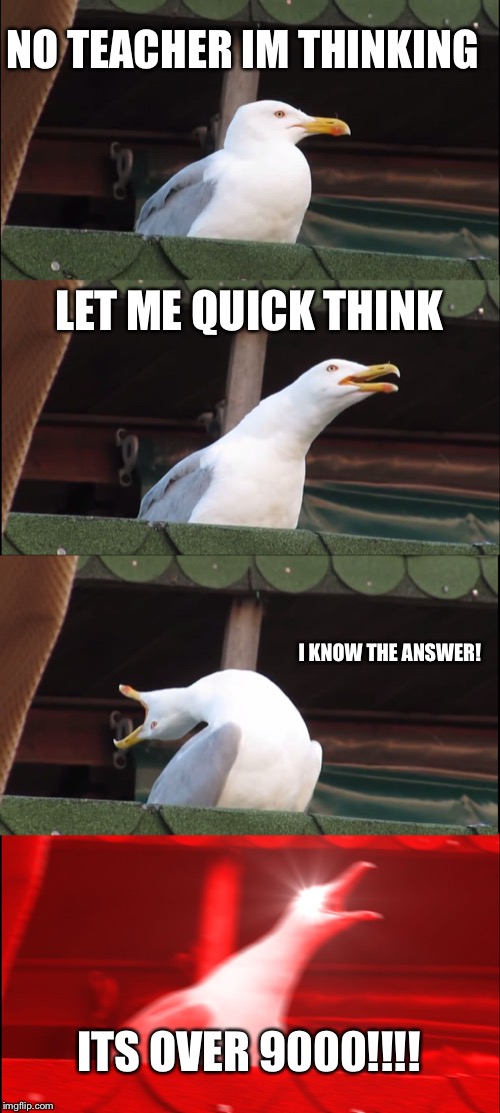 When teacher is asking you a question... | NO TEACHER IM THINKING; LET ME QUICK THINK; I KNOW THE ANSWER! ITS OVER 9000!!!! | image tagged in memes,inhaling seagull,school | made w/ Imgflip meme maker