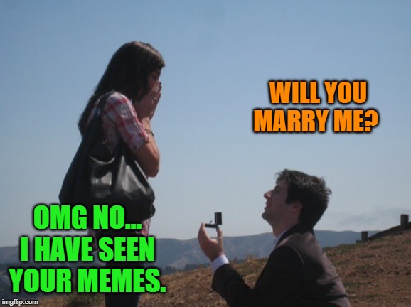 Marriage proposal | WILL YOU MARRY ME? OMG NO... I HAVE SEEN YOUR MEMES. | image tagged in marriage proposal | made w/ Imgflip meme maker