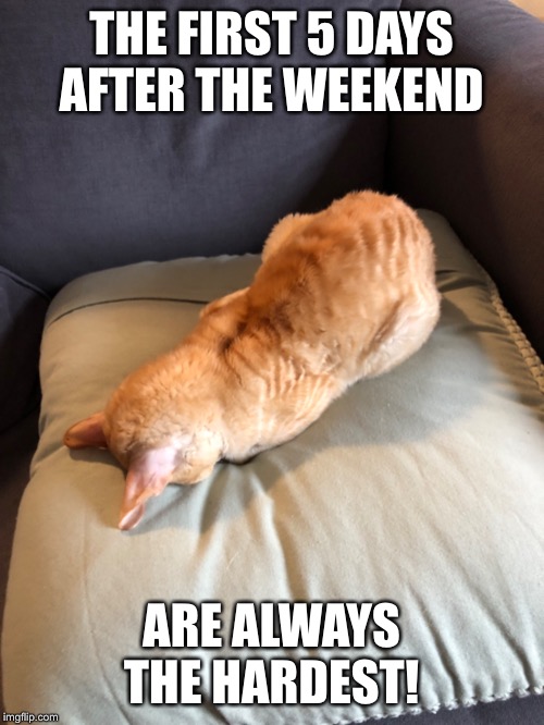 THE FIRST 5 DAYS AFTER THE WEEKEND; ARE ALWAYS THE HARDEST! | made w/ Imgflip meme maker