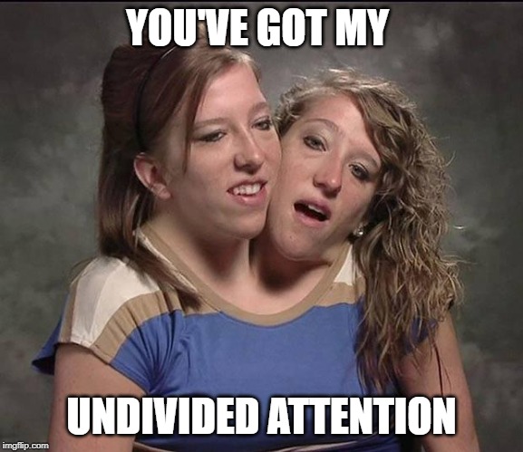 Conjoined twins | YOU'VE GOT MY UNDIVIDED ATTENTION | image tagged in conjoined twins | made w/ Imgflip meme maker