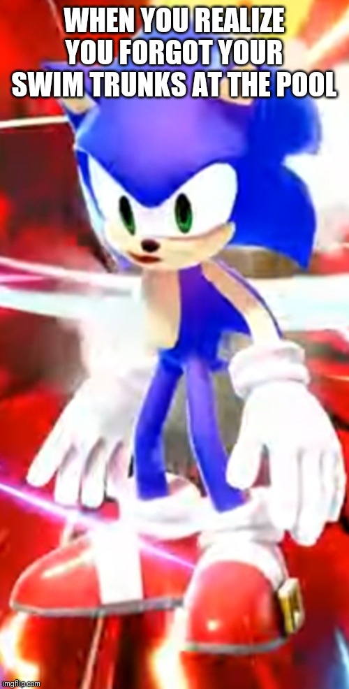 Z axis sonic | WHEN YOU REALIZE YOU FORGOT YOUR SWIM TRUNKS AT THE POOL | image tagged in z axis sonic | made w/ Imgflip meme maker