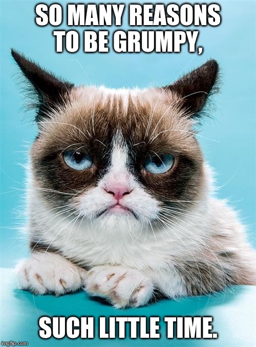 Grump | SO MANY REASONS TO BE GRUMPY, SUCH LITTLE TIME. | image tagged in memes,grumpy cat | made w/ Imgflip meme maker