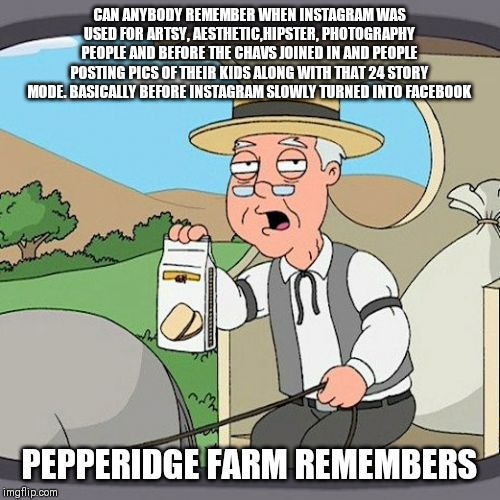 So Instagram is turning into Facebook | CAN ANYBODY REMEMBER WHEN INSTAGRAM WAS USED FOR ARTSY, AESTHETIC,HIPSTER, PHOTOGRAPHY PEOPLE AND BEFORE THE CHAVS JOINED IN AND PEOPLE POSTING PICS OF THEIR KIDS ALONG WITH THAT 24 STORY MODE. BASICALLY BEFORE INSTAGRAM SLOWLY TURNED INTO FACEBOOK; PEPPERIDGE FARM REMEMBERS | image tagged in memes,pepperidge farm remembers,facebook,instagram | made w/ Imgflip meme maker