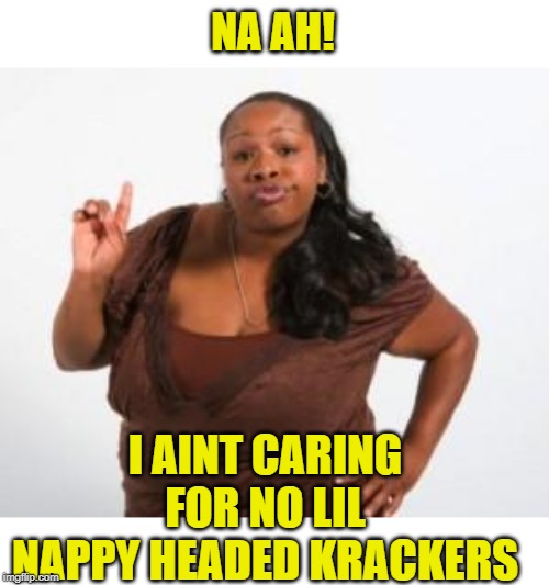 Angry Black Woman | NA AH! I AINT CARING FOR NO LIL NAPPY HEADED KRACKERS | image tagged in angry black woman | made w/ Imgflip meme maker
