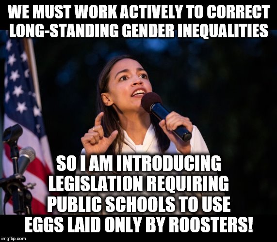 Not really that surprising... | WE MUST WORK ACTIVELY TO CORRECT LONG-STANDING GENDER INEQUALITIES; SO I AM INTRODUCING LEGISLATION REQUIRING PUBLIC SCHOOLS TO USE EGGS LAID ONLY BY ROOSTERS! | image tagged in aoc,eggs,roosters | made w/ Imgflip meme maker