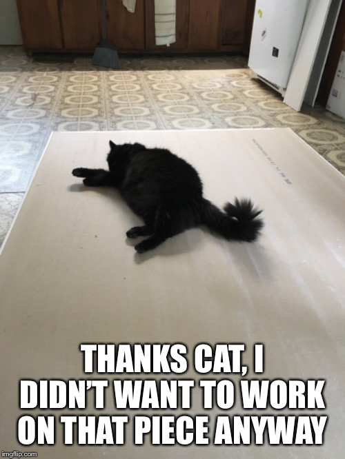 Old homes suck to work on | THANKS CAT, I DIDN’T WANT TO WORK ON THAT PIECE ANYWAY | image tagged in cats | made w/ Imgflip meme maker