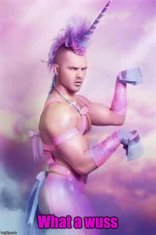 Gay Unicorn | What a wuss | image tagged in gay unicorn | made w/ Imgflip meme maker