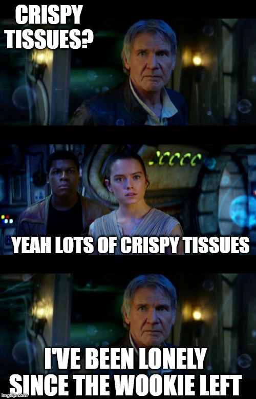 It's True All of It Han Solo Meme | CRISPY TISSUES? YEAH LOTS OF CRISPY TISSUES; I'VE BEEN LONELY SINCE THE WOOKIE LEFT | image tagged in memes,it's true all of it han solo | made w/ Imgflip meme maker