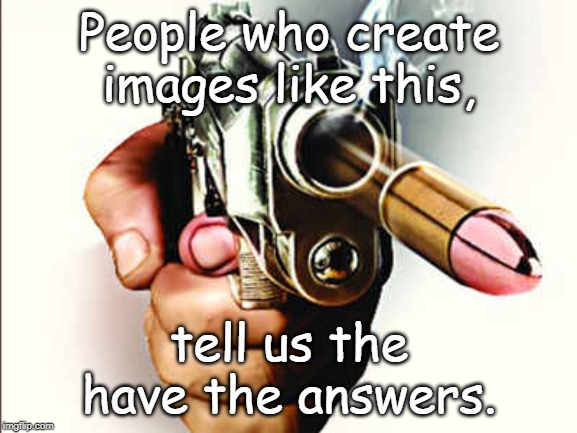 gun control nuts | People who create images like this, tell us the have the answers. | image tagged in gun control nuts | made w/ Imgflip meme maker