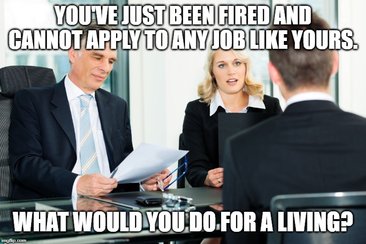 job interview | YOU'VE JUST BEEN FIRED AND CANNOT APPLY TO ANY JOB LIKE YOURS. WHAT WOULD YOU DO FOR A LIVING? | image tagged in job interview | made w/ Imgflip meme maker