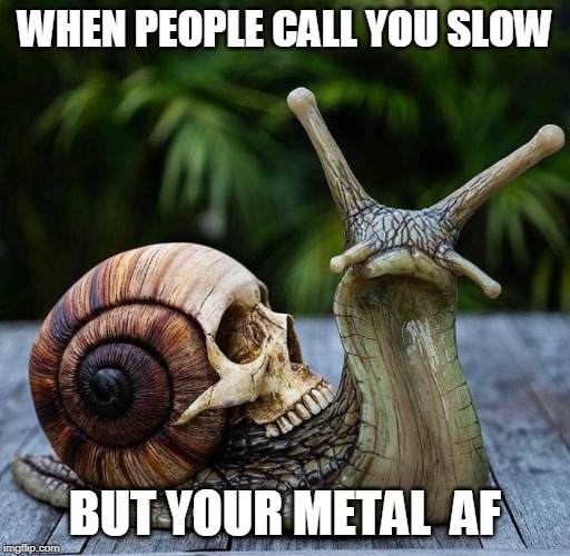 SLOW METAL! | WHEN PEOPLE CALL YOU SLOW; BUT YOUR METAL  AF | image tagged in metal,memes,skull | made w/ Imgflip meme maker