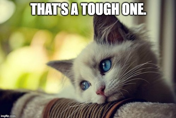 First World Problems Cat Meme | THAT'S A TOUGH ONE. | image tagged in memes,first world problems cat | made w/ Imgflip meme maker