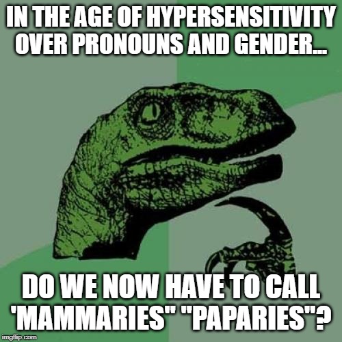 Philosoraptor Meme | IN THE AGE OF HYPERSENSITIVITY OVER PRONOUNS AND GENDER... DO WE NOW HAVE TO CALL 'MAMMARIES" "PAPARIES"? | image tagged in memes,philosoraptor | made w/ Imgflip meme maker
