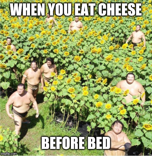 Cheese Before Bed Imgflip