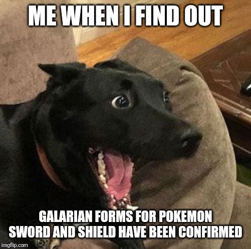 Overly Excited Dog |  ME WHEN I FIND OUT; GALARIAN FORMS FOR POKEMON SWORD AND SHIELD HAVE BEEN CONFIRMED | image tagged in overly excited dog | made w/ Imgflip meme maker